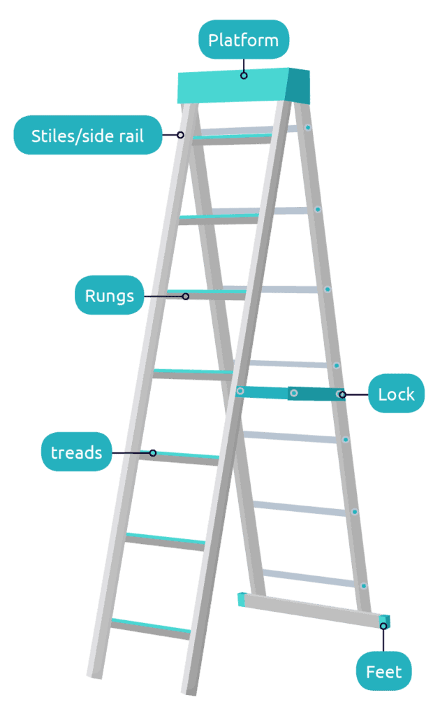 A graphic labelling the names of parts of a ladder