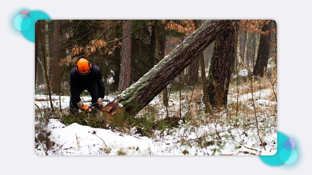 A forestry worker cutting down a tree